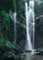 Close Up Dschungel Wasserfall Poster - DIN A4 (29,7 x42) - Premium Regenwald Wanddeko - Natur Kunstdruck Homedecor