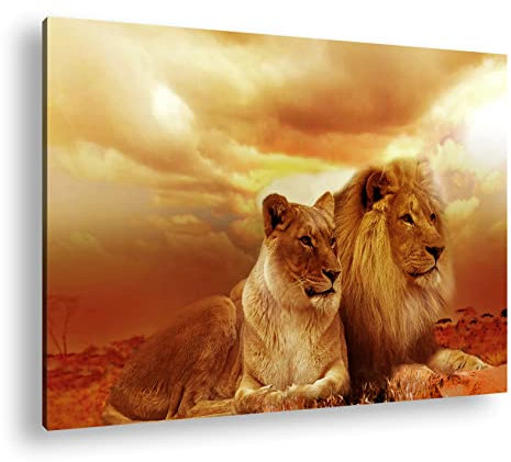 deyoli Löwen in Afrika, ruhend im goldenen Gras der Savanne. Format: 80x60cm XXL Kunstdruck Motiv auf Holzrahmen/Leinwandbild/Wandbild/Wohnzimmer Dekoration