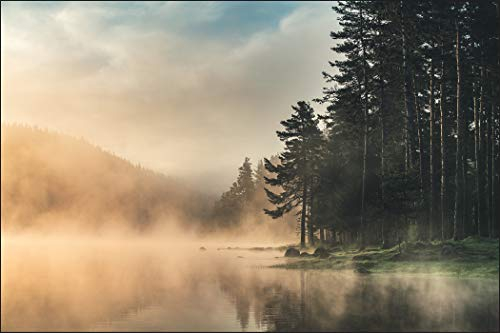 Muralo Fototapete Wald im Nebel 240 x 360 cm Vlies Tapete Wandtapeten See Bäume Wohnzimmer Schlafzimmer Moderne Wandbilder XXL Landschaft Panorama Wand Dekoration
