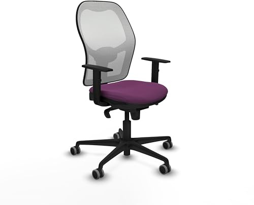 Piqueras y Crespo Ergonomischer Chorquera Stuhl für 8 Stunden Nutzung, maximales Gewicht 120 kg, 1D-Arme, Synchronmechanik 5 Positionen, ohne Kopfteil, 1D-Lendenwirbelstütze, feste Rückenlehne