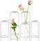 ZENS Kleine Vase Glas für Tischdeko,Modern Deko Vasen Set 6er Zylinder Knospe Blumenvase mit Schmalem Mund für Hochzeit,Handgeblasen Glasvase für Heimdekoration Mittelstück