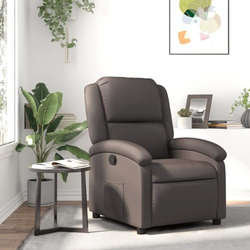 LAPOOH Relaxsessel Dunkelbraun Echtleder, Fernsehsessel, Kinosessel, Lesesessel, Tv Sessel, Ohrensessel, Armsessel, Seselstuhl Wohnzimmer - 371790