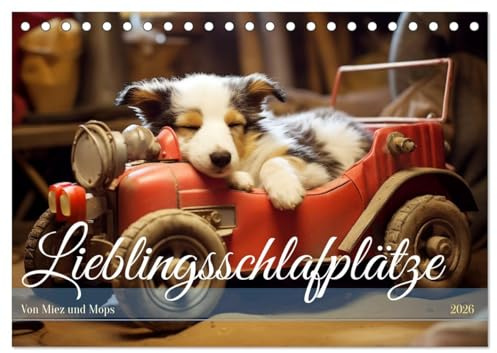 Lieblingsschlafplätze (Tischkalender 2026 DIN A5 quer), CALVENDO Monatskalender: Schlaf Kindchen, schlaf! (CALVENDO Tiere)