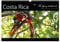 Costa Rica Blickwinkel 2023 (Wandkalender 2023 DIN A3 quer): Costa Rica - flying bushhawks Blickwinkel Kalender (Monatskalender, 14 Seiten ) (CALVENDO Orte)