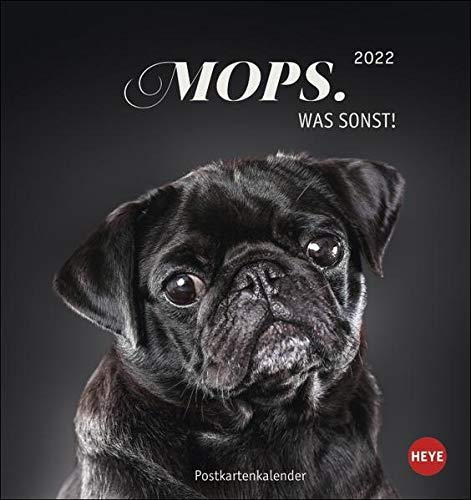 Mops Postkartenkalender 2022