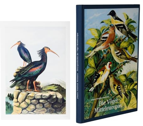 Vorzugsausgabe: Johann Friedrich Naumann – Die Vögel Mitteleuropas: Naturgeschichte der Vögel. Vorzugsausgabe mit Fine Art Print Waldrapp