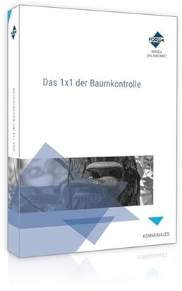 Das 1x1 der Baumkontrolle