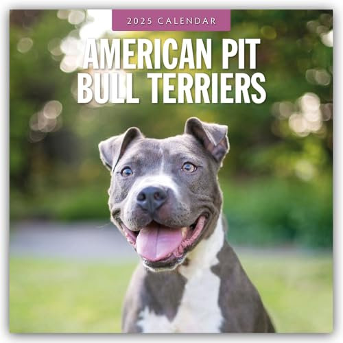 American Pit Bull Terriers – American Pit Bull Terrier 2025 – 16-Monatskalender: Original Red Robin Publishing Ltd-Kalender [Mehrsprachig] [Kalender] (Wall-Kalender)