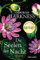 Die Seelen der Nacht: Roman - Das Buch zur Serie A Discovery of Witches (All Souls, Band 1)