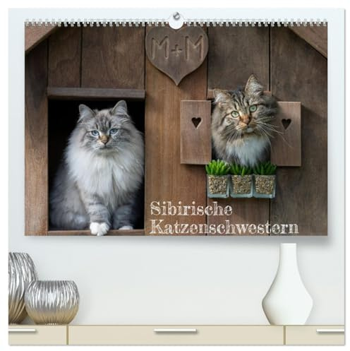 Maui und Molokai - Sibirische Katzenschwestern (hochwertiger Premium Wandkalender 2026 DIN A2 quer), Kunstdruck in Hochglanz: Hier geht's zu aufregenden Katzenabenteuern. (CALVENDO Tiere)