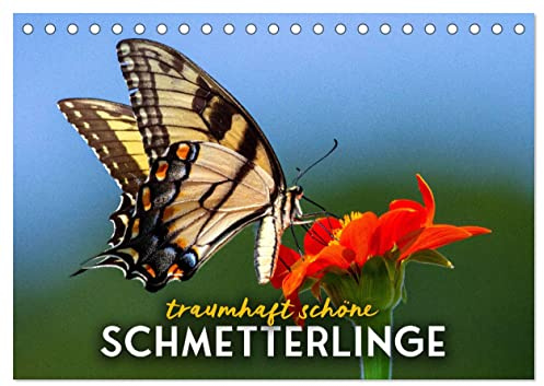 Traumhaft schöne Schmetterlinge (Tischkalender 2026 DIN A5 quer), CALVENDO Monatskalender: Farbenfrohe Insekten. (CALVENDO Tiere)