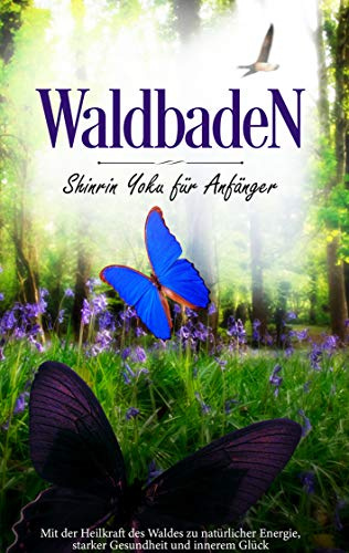 Waldbaden: Shinrin Yoku für Anfänger
