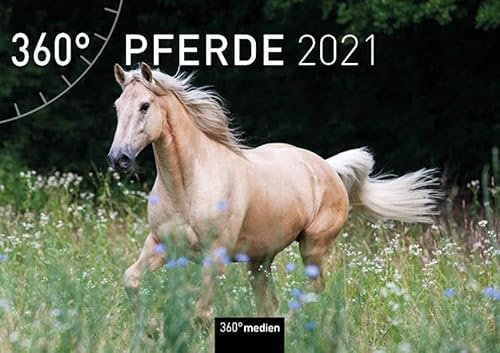 360° Pferde Klappkalender 2021: Wandkalender mit Kalendarium zum Aufklappen (A4 quer, offen A3 hoch)
