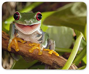 Destination Vinyl Ltd Smiling Green Frog Mouse Mat Pad - Amphibians Cool Office Gift Computer #14182