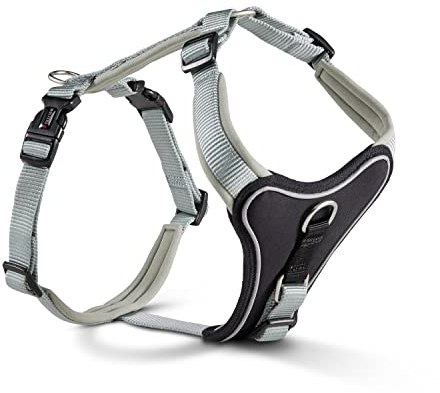 Wolters Geschirr Professional Comfort, Größe:50-60 cm, Farbe:Salbei grün