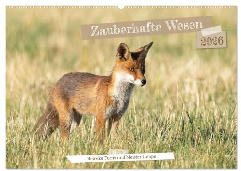 Zauberhafte Wesen - Reineke Fuchs und Meister Lampe (Wandkalender 2026 DIN A2 quer), CALVENDO Monatskalender: Zauberhafte Fotos von Fuchs und Feldhase in freier Natur. (CALVENDO Tiere)