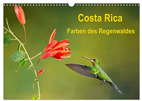 Costa Rica - Farben des Regenwaldes (Wandkalender 2026 DIN A3 quer), CALVENDO Monatskalender: Farbenprächtige Bilder der Flora und Fauna Costa Ricas (CALVENDO Orte)