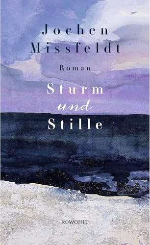 Sturm und Stille: Roman