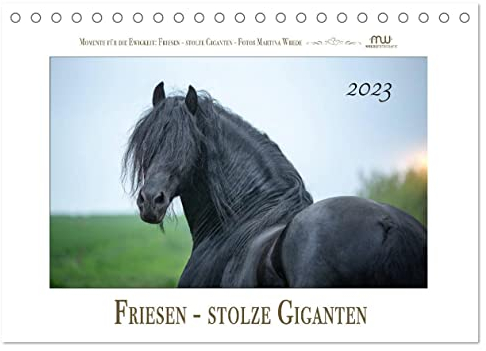 Friesen - stolze Giganten (Tischkalender 2023 DIN A5 quer): Friesen - schwarze Pferdeschönheiten (Monatskalender, 14 Seiten ) (CALVENDO Tiere)