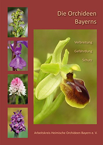 Die Orchideen Bayerns: Verbreitung – Gefährdung – Schutz