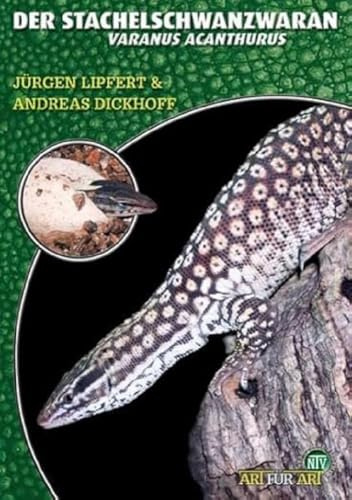Der Stachelschwanzwaran: Varanus acanthurus