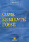 Come se niente fosse (L' Arca)