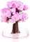 Sakura-Baum, magisch, Kirschblüte, romantisch, Kristall, magisch, Weihnachtsbaum, Papierbaum, Blumenbaum, magischer Baum, Weihnachtsbaum, Bonsai, Magic Sakura
