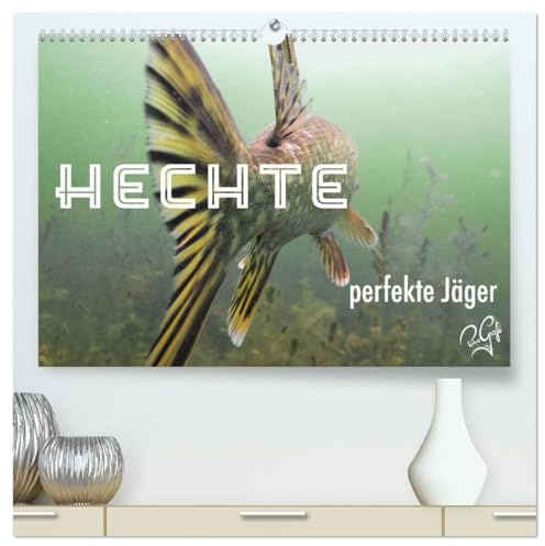 Hechte - perfekte Jäger (hochwertiger Premium Wandkalender 2026 DIN A2 quer), Kunstdruck in Hochglanz: Lauerjäger unter Wasser sind getarnt, schnell und oft erfolgreich. (CALVENDO Tiere)