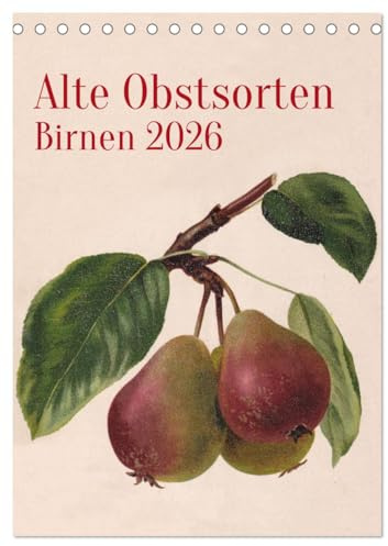 Alte Obstsorten - Birnen 2026 (Tischkalender 2026 DIN A5 hoch), CALVENDO Monatskalender: Alte Obstsorten werden in historischen Farblithographien ... im eigenen Garten. (CALVENDO Kunst)