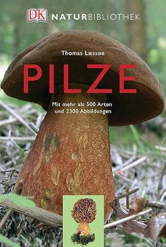 Pilze: Mit mehr als 500 Arten