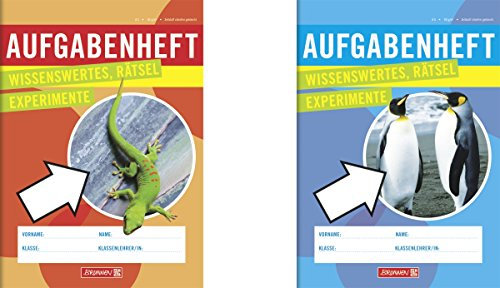 Brunnen 1046806 Hausaufgabenheft (A5, 24 Blatt, 2 Motive)