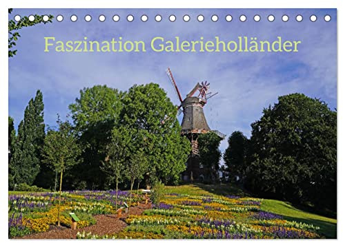 Faszination Galerieholländer (Tischkalender 2026 DIN A5 quer), CALVENDO Monatskalender: Windkraftnutzung in der schönsten Bauweise (CALVENDO Orte)
