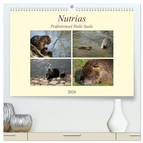 Nutrias Peißnitzinsel Halle Saale (hochwertiger Premium Wandkalender 2026 DIN A2 quer), Kunstdruck in Hochglanz: Die Nutria in freier Wildbahn auf der Peißnitzinsel Halle Saale (CALVENDO Tiere)
