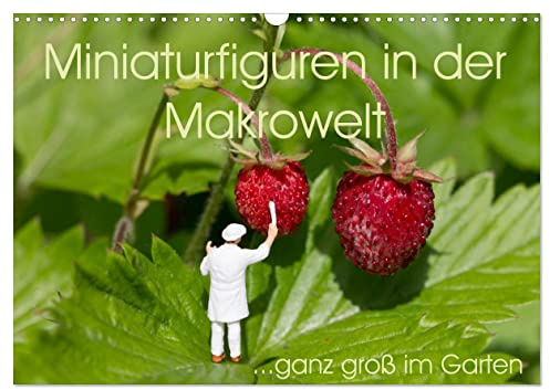 Miniaturfiguren in der Makrowelt ...ganz groß im Garten (Wandkalender 2026 DIN A3 quer), CALVENDO Monatskalender: CityZwerge kommen ganz groß raus... im Garten! (CALVENDO Kunst)