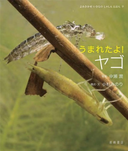 岩崎書店
