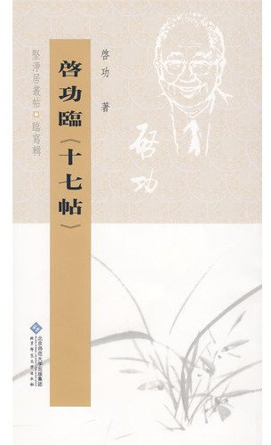 Qi Gong Pro Seventeen post(Chinese Edition)