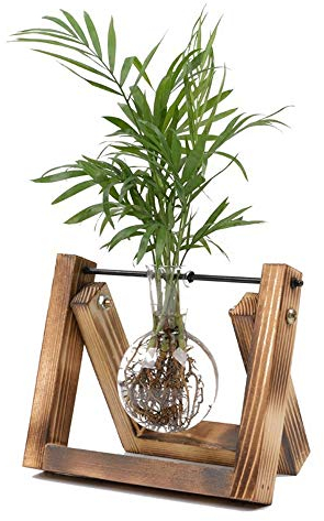 KnikGlass Hydroponische Vase Deko Holz Halter mit Hydroponik Glasvase Hängevase Blumenvase Tischvase Dekovase für Hydrokultur Pflanzen, Zuhause oder Büro Dekoration (Braun, 1 Vase)