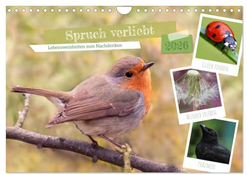 Spruch verliebt (Wandkalender 2026 DIN A4 quer), CALVENDO Monatskalender: Lebensweisheiten fürs Herz und zum Nachdenken. (CALVENDO Glaube)
