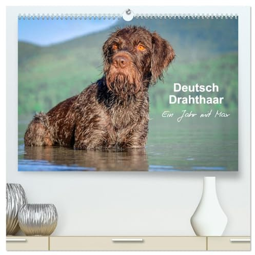 Deutsch Drahthaar - Ein Jahr mit Max (hochwertiger Premium Wandkalender 2026 DIN A2 quer), Kunstdruck in Hochglanz: Jagdhundästhetik pur für jeden Monat (CALVENDO Tiere)