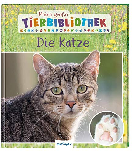 Meine große Tierbibliothek: Die Katze: Sachbuch für Vorschule & Grundschule