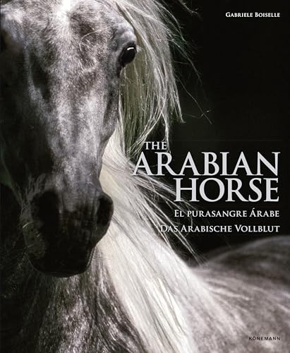 Arabian Horses (Fat Ferdy Spectacular)