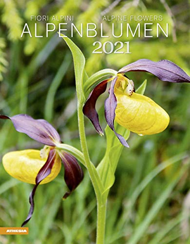Alpenblumen Kalender 2021: Fiori alpini – Alpine flowers