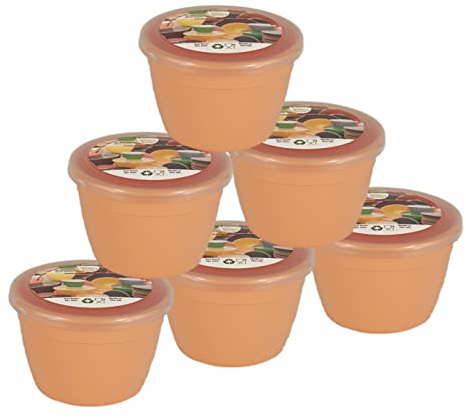 Just Pudding Basins Pastel Colours 1/4 Pint Small Basin and Clear Lid 0.25pt Pack of 6 Plastic Steaming Bowls (Peach)