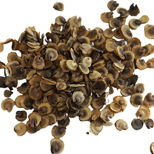 SANWOOD Graines de jardin de fleurs pour la plantation de jardin à domicile, 50 pièces de fleurs graines de fleurs moyen arrosage mixte couleur Hollyhock outil de plantation de graines pour Balcony