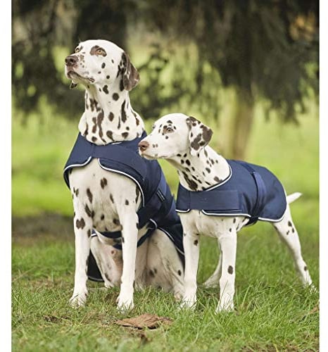 WALDHAUSEN Regen-Hundedecke, 65 cm, Marine