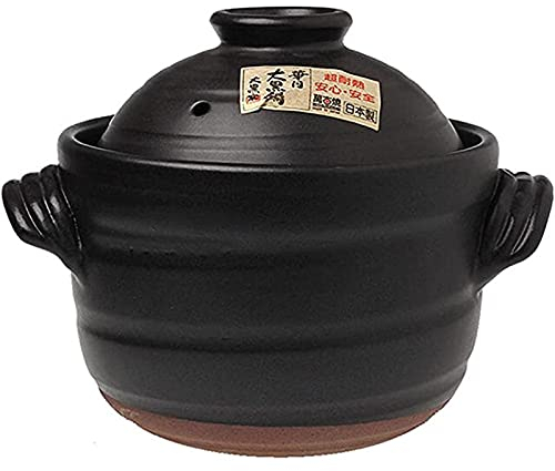 Earthenware Clay Pot for Cooking Hot Pot Japanese Ceramic Casserole with Double Lid, Decocting Soup Pot Rice Cooker, High Temperature Does Not Crack,3.1L