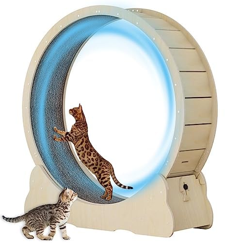 Ruota per Gatti Grandi per Correre da 100cm - Tapis Roulant per Gatti in Legno Massello Naturale per Interno, Ruota per Esercizi di Sicurezza per Gatti con Serratura & Design del Gap Ridotto al Minimo