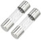 Partuto 2 Stück 10x38mm 0,39x1,50 Zoll 80A Universal AGU Glassicherung - Kfz-Sicherungsröhre zum Schutz der Stromversorgung - Metall Silberton