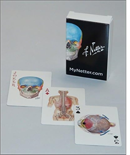 Netter Playing Cards: Netter's Anatomy Art Card Deck (Single Pack) (Netter Basic Science)