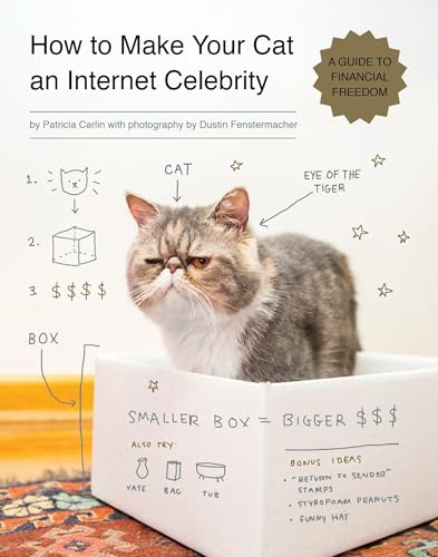 How to Make Your Cat an Internet Celebrity: A Guide to Financial Freedom: 1